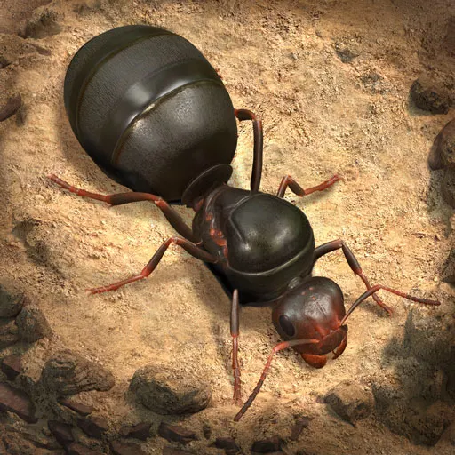 An image from the Android game The Ants: Underground Kingdom indicates ants acquiring sources.