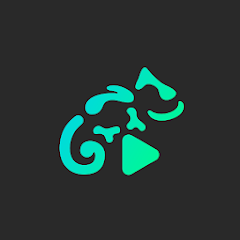 Stellio Player APK: Powerful features for greater listening enjoyment in a customizable song streaming app